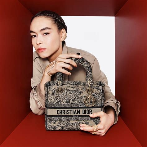 christian dior on the go bag|farfetch christian dior bags.